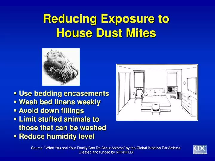reducing exposure to house dust mites