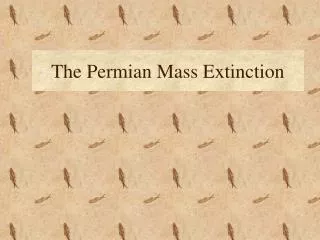 The Permian Mass Extinction