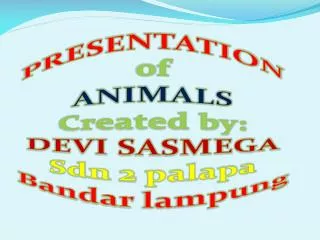 PRESENTATION NAMES OF ANIMALS