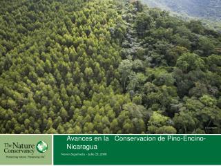 Avances en la Conservacion de Pino-Encino- Nicaragua