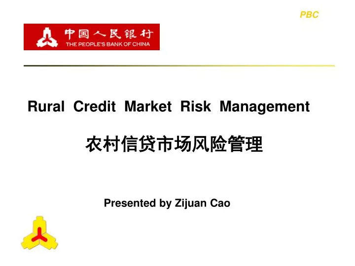 rural credit market risk management