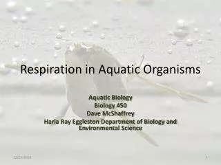 Respiration in Aquatic Organisms