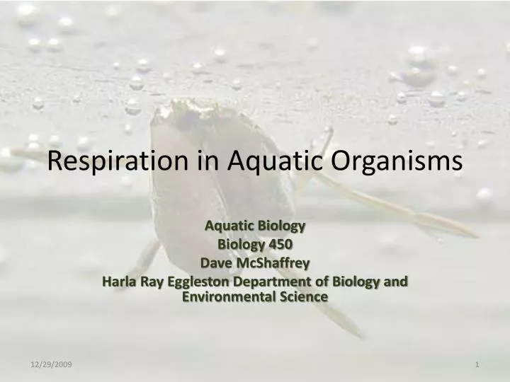 respiration in aquatic organisms