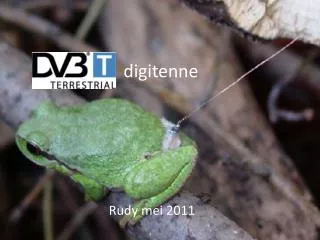 digitenne