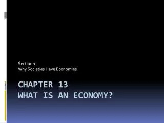 Chapter 13 What is an Economy?