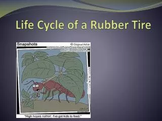 Life Cycle of a Rubber Tire