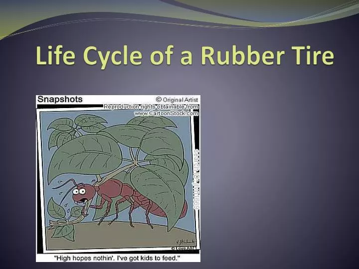life cycle of a rubber tire
