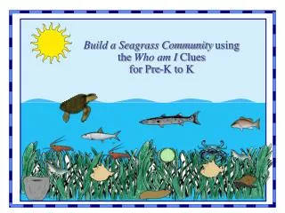Build a Seagrass Community using the Who am I Clues for Pre-K to K