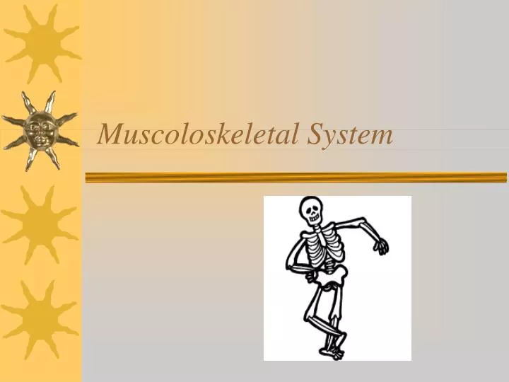 muscoloskeletal system