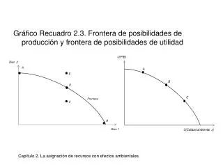 Gráfico Recuadro 2.3. Frontera de posibilidades de producción y frontera de posibilidades de utilidad