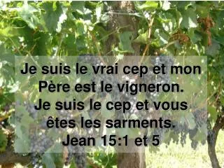 Je suis le vrai cep et mon Père est le vigneron. Je suis le cep et vous êtes les sarments. Jean 15:1 et 5