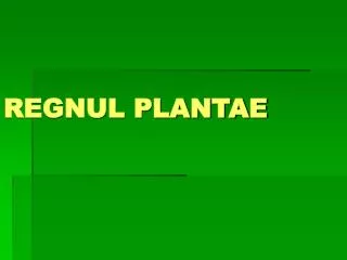 REGNUL PLANTAE