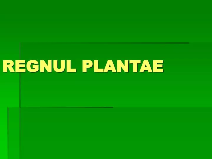 regnul plantae