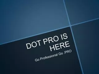 DOT PRO IS HERE: GO PROFESSIONAL GO PRO