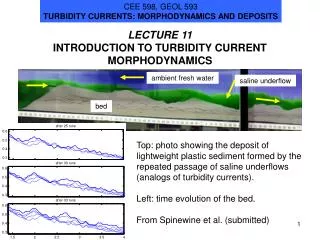 LECTURE 11 INTRODUCTION TO TURBIDITY CURRENT MORPHODYNAMICS