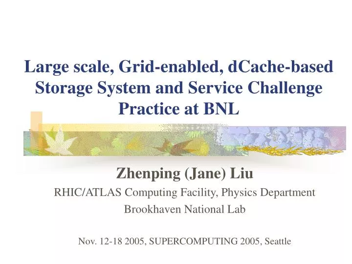 large scale grid enabled dcache based storage system and service challenge practice at bnl
