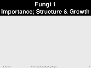 Fungi 1 Importance; Structure &amp; Growth
