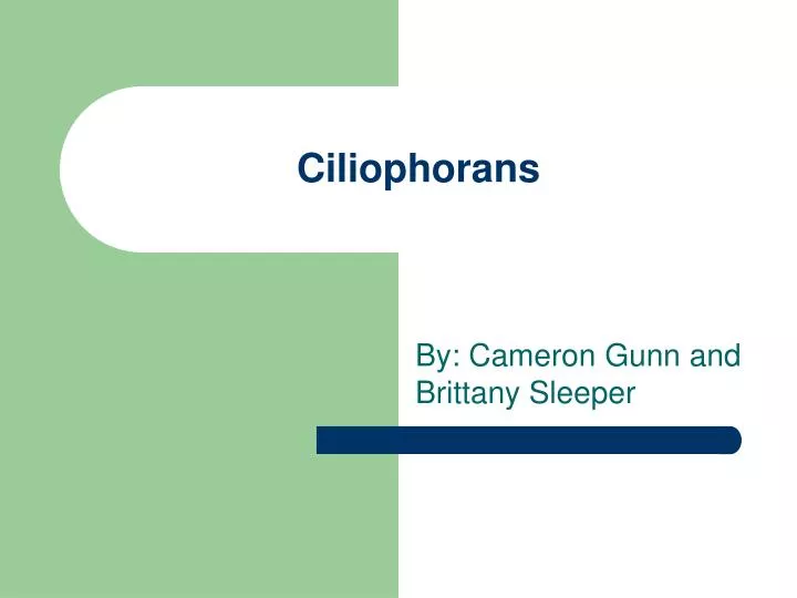 ciliophorans