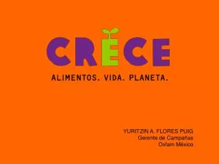 YURITZIN A. FLORES PUIG Gerente de Campañas Oxfam México