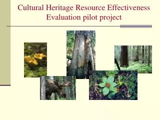 Cultural Heritage Resource Effectiveness Evaluation pilot project