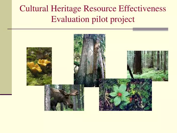 cultural heritage resource effectiveness evaluation pilot project
