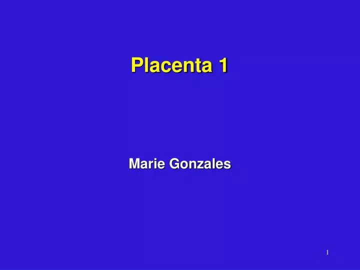 placenta 1