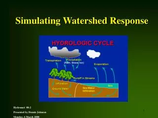 Simulating Watershed Response