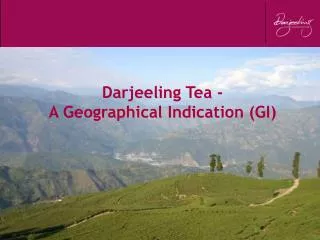 Darjeeling Tea - A Geographical Indication (GI)