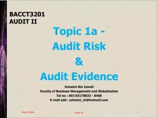 BACCT3201 AUDIT II