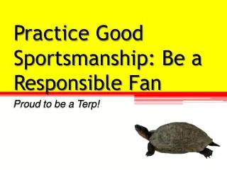 Practice Good Sportsmanship: Be a Responsible Fan
