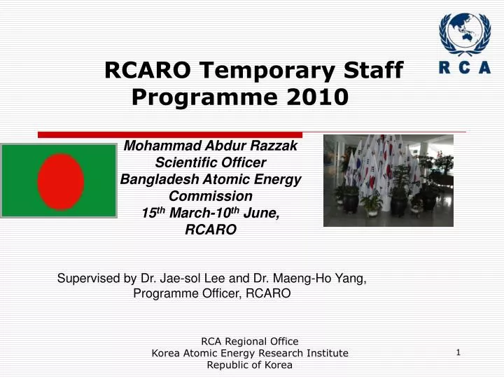 rcaro temporary staff programme 2010