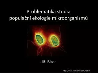 Problematika studia populační ekologie mikroorganismů