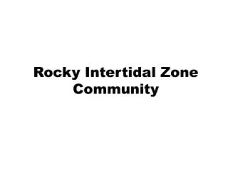 Rocky Intertidal Zone Community