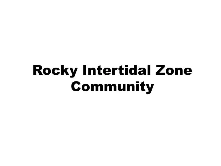 rocky intertidal zone community