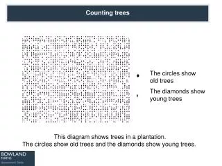 This diagram shows trees in a plantation. The circles show old trees and the diamonds show young trees.