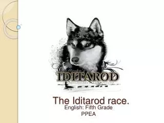 The Iditarod race.