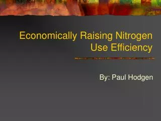 Economically Raising Nitrogen Use Efficiency