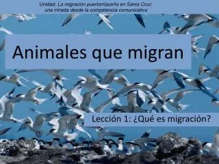 Animales que migran