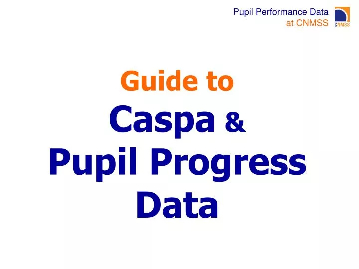 guide to caspa pupil progress data