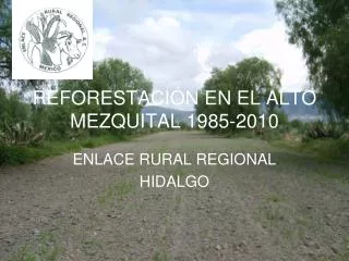 REFORESTACIÓN EN EL ALTO MEZQUITAL 1985-2010