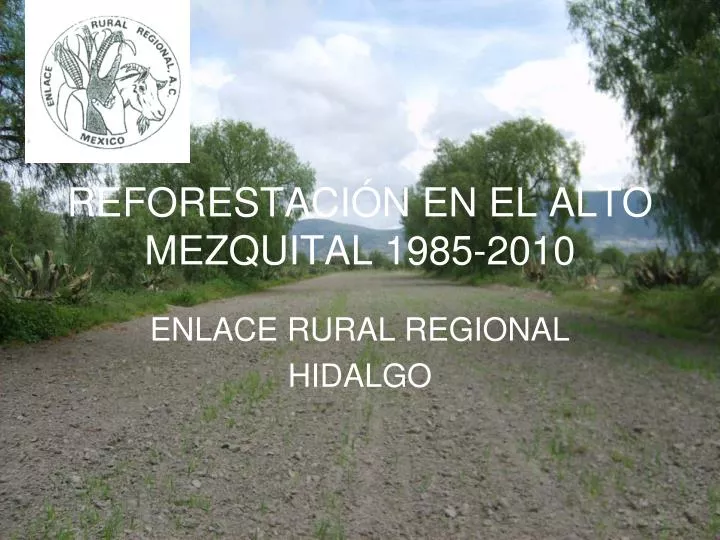 reforestaci n en el alto mezquital 1985 2010