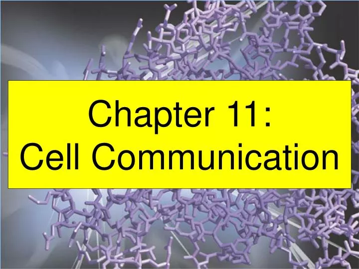 chapter 11 cell communication