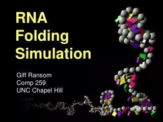 RNA Folding Simulation