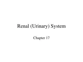 Renal (Urinary) System