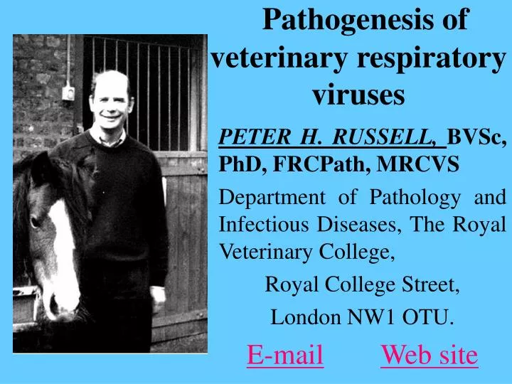 pathogenesis of veterinary respiratory viruses