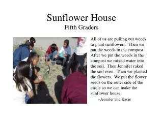 Sunflower House Fifth Graders