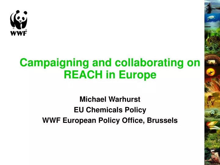 campaigning and collaborating on reach in europe