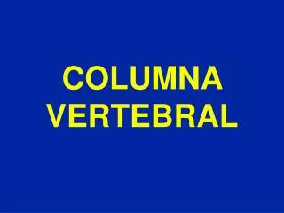 COLUMNA VERTEBRAL