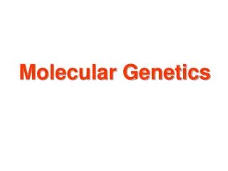 Molecular Genetics