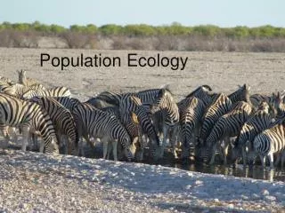 population ecology